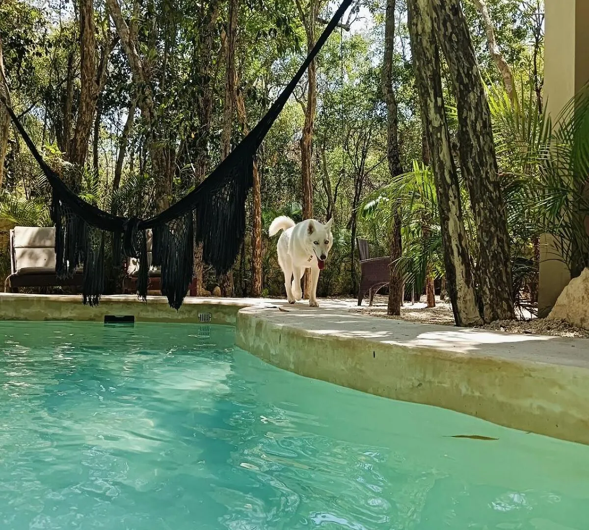 Bohemian Rainforest Chemuyil Apartment