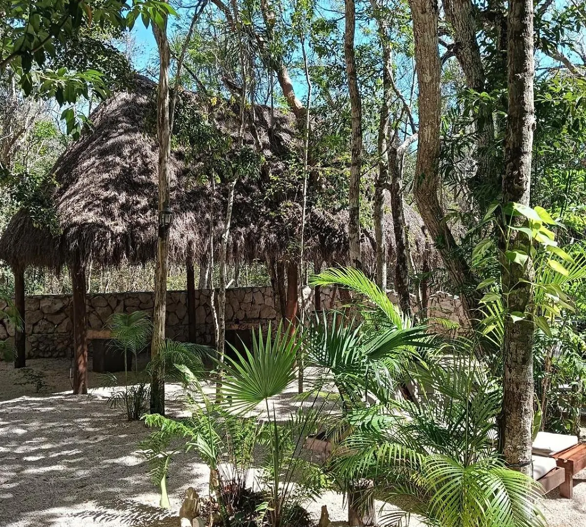 Bohemian Rainforest Chemuyil