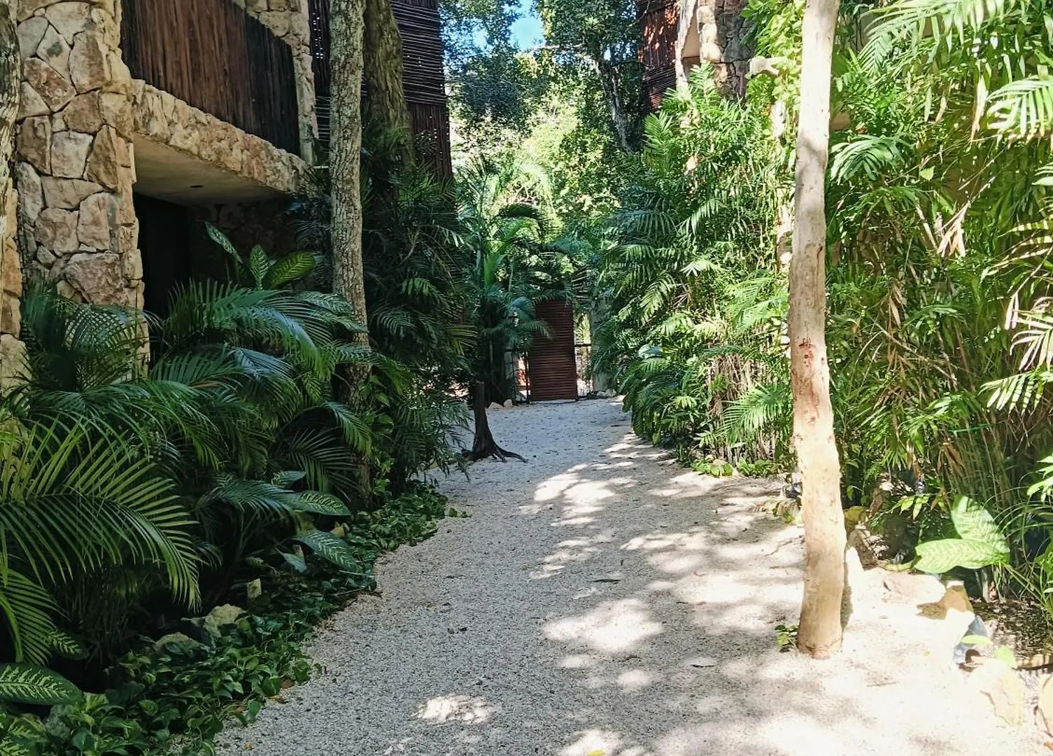 Bohemian Rainforest Chemuyil 0*,  Mexico