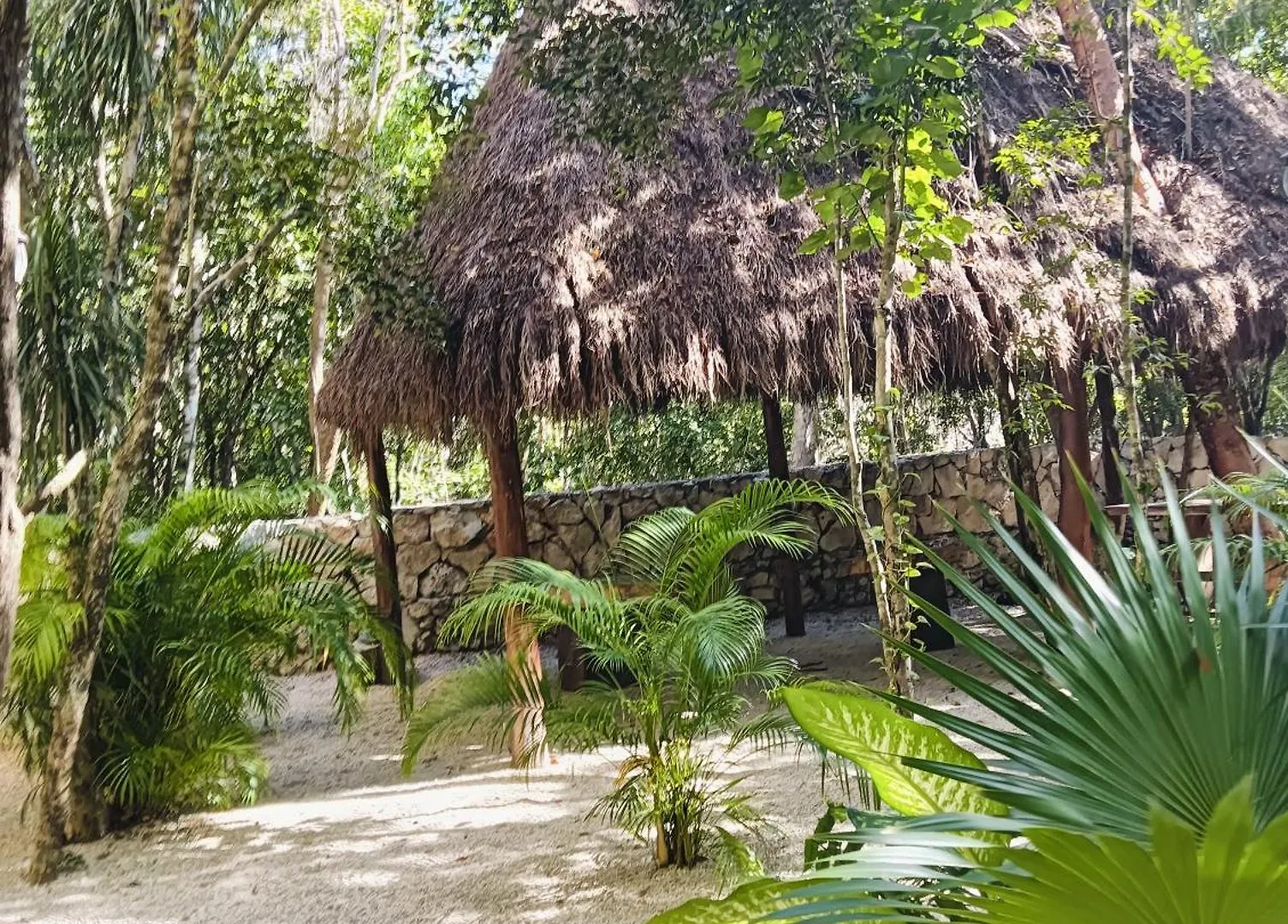 Apartment Bohemian Rainforest Chemuyil Mexico